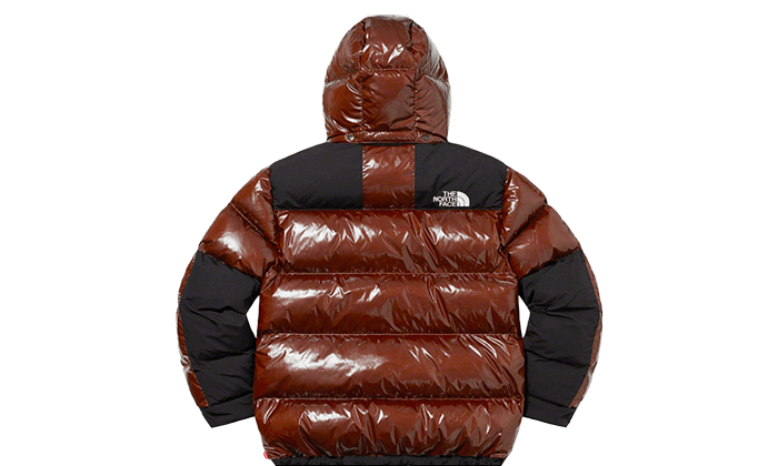 North face top 700 fill